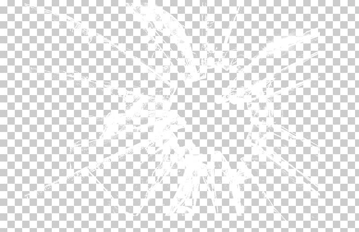 Line Black And White Angle Point PNG, Clipart, Beer Glass, Black, Broken Glass, Champagne Glass, Circle Free PNG Download