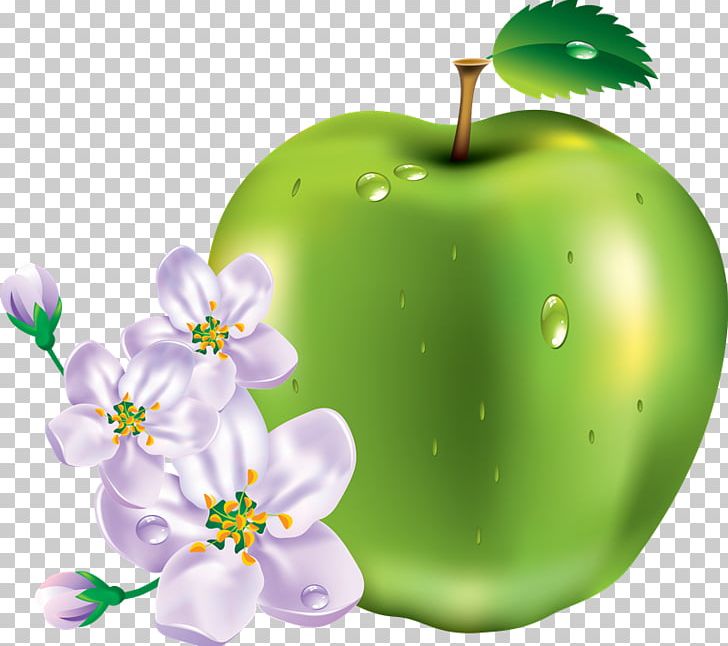 Portable Network Graphics Fruit Psd Adobe Illustrator Artwork PNG, Clipart, Apple, Computer Wallpaper, Digital Image, Encapsulated Postscript, Food Free PNG Download