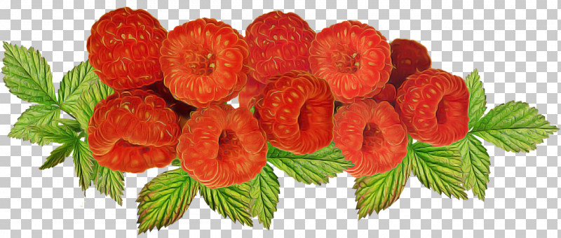 Floral Design PNG, Clipart, Cut Flowers, Floral Design, Floristry, Flower, Fruit Free PNG Download