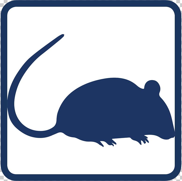 Mouse Rodent Black Rat PNG, Clipart, Animals, Artwork, Black Rat, Computer Icons, Download Free PNG Download