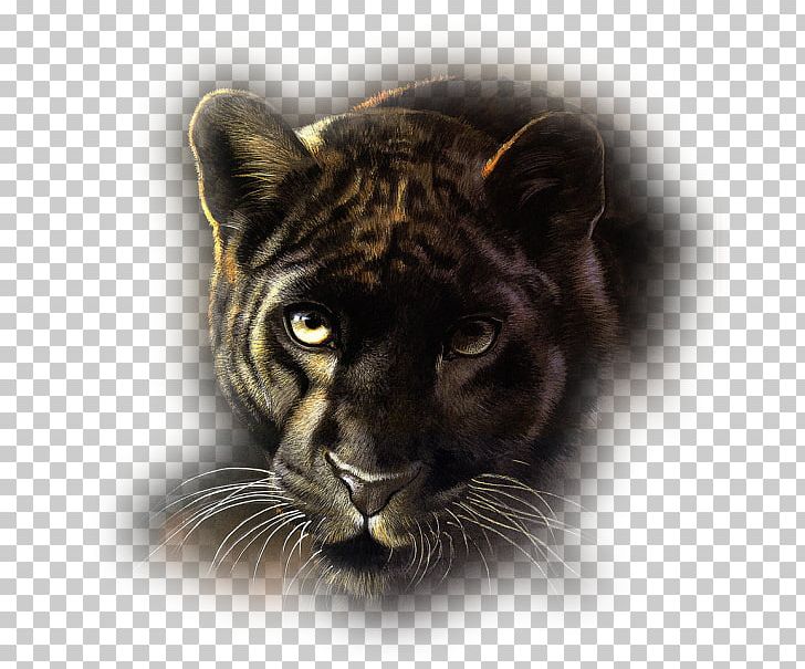Panther Cat Leopard Tiger PNG, Clipart, Animals, Art, Artist, Big Cats, Black Panther Free PNG Download