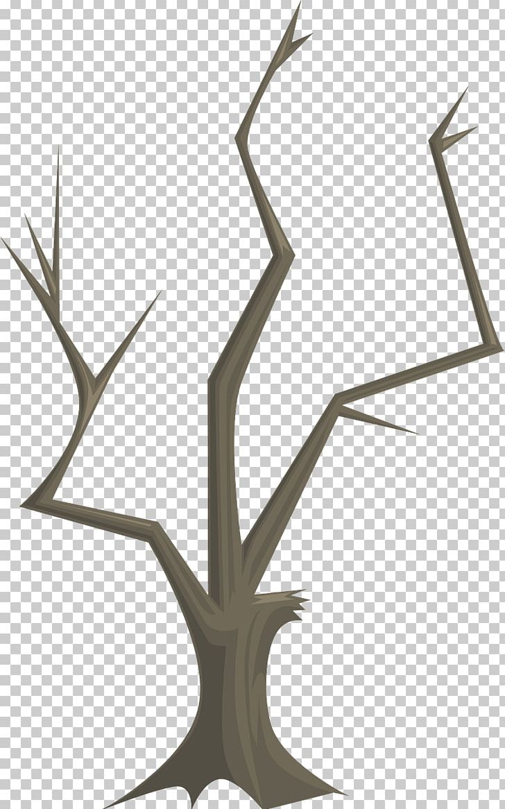 Twig Tree Branch Teradata Quiz Wood PNG, Clipart, Antler, Bark, Branch, Forest, Leaf Free PNG Download