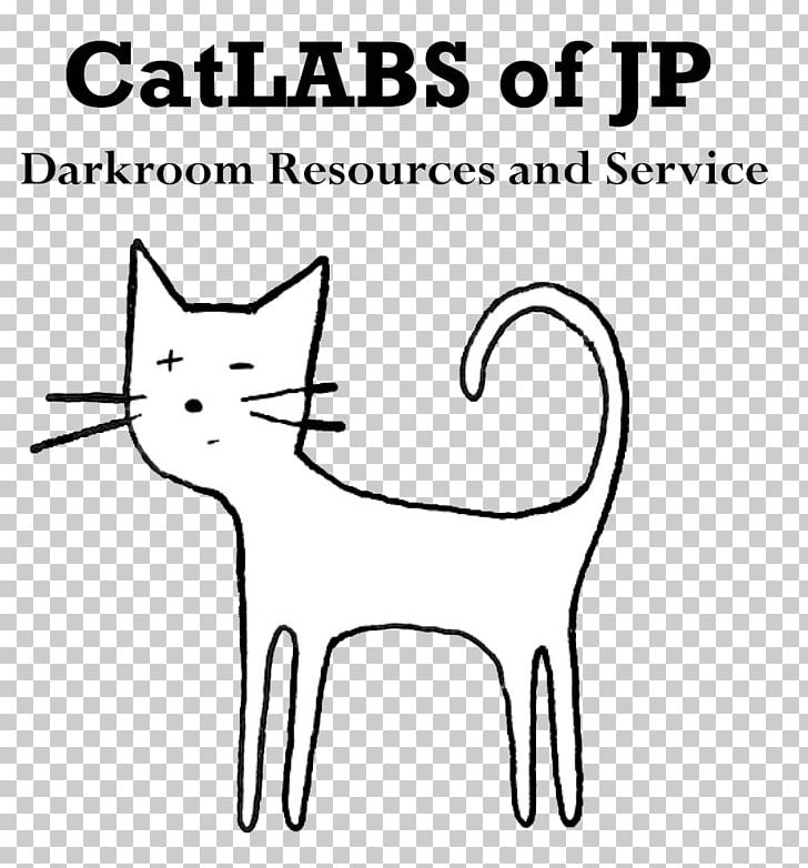 Whiskers CatLABS Inc. Photographic Film Kitten Domestic Short-haired Cat PNG, Clipart, Angle, Animals, Area, Black, Camer Free PNG Download