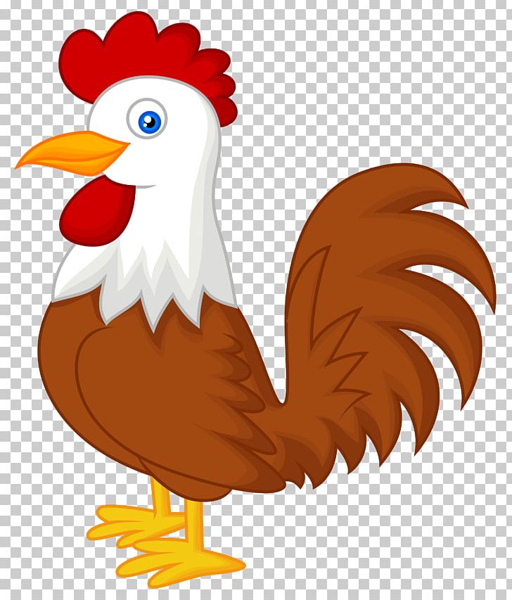 Chicken Animal Bird Pet PNG, Clipart, Animal, Animals, Beak, Bird, Cartoon Free PNG Download