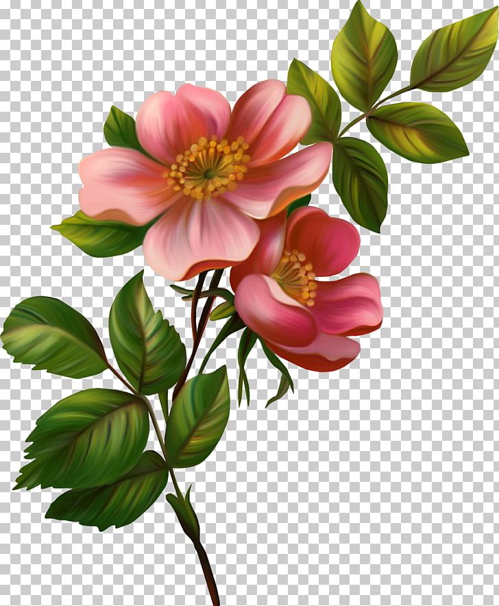 Flower PNG, Clipart, Blossom, Branch, Chinese, Clip Art, Computer Icons Free PNG Download