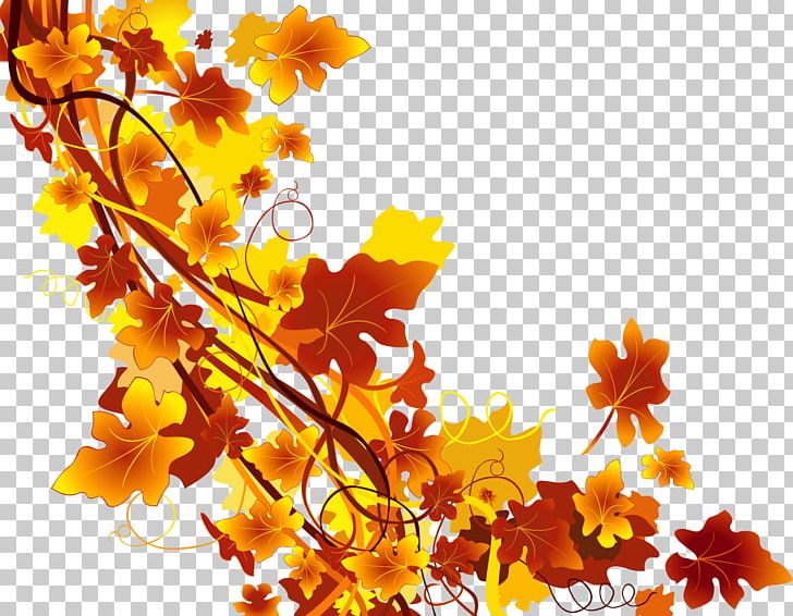 Leaf Autumn PNG, Clipart, Akiba, Autumn, Autumn Tree, Autumn Vector, Branch Free PNG Download