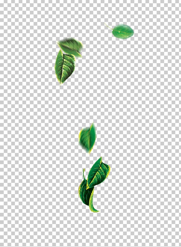 Leaf Green PNG, Clipart, Adobe Illustrator, Decorative Elements, Desktop Wallpaper, Download, Elements Free PNG Download