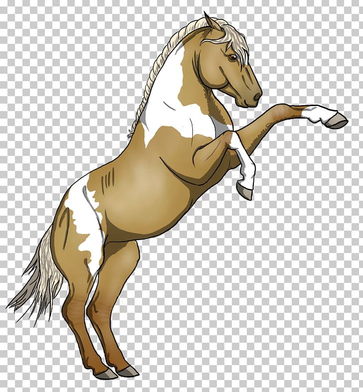 Mane Mustang Stallion Colt Donkey PNG, Clipart,  Free PNG Download