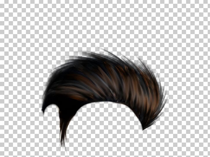 PicsArt Photo Studio Hairstyle Hair Coloring PNG, Clipart, Black Hair,  Brown Hair, Desktop Wallpaper, Dslr, Edit