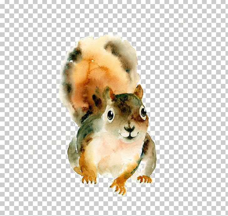 Squirrel Watercolor: Animals Watercolor Painting Art PNG, Clipart, Animal, Art, Artist, Cartoon, Cartoon Squirrel Free PNG Download