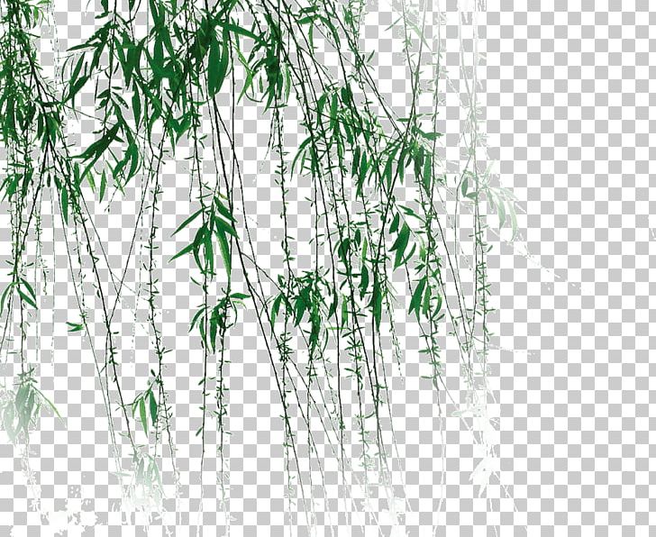 China Chinese Art PNG, Clipart, Art, Background Green, Branch, Creeper, Display Resolution Free PNG Download