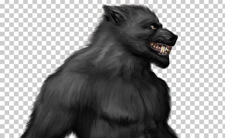 Werewolf Gorilla Legend Gray Wolf PNG, Clipart, Aullido, Black And White, Dog Like Mammal, Fictional Character, Full Moon Free PNG Download