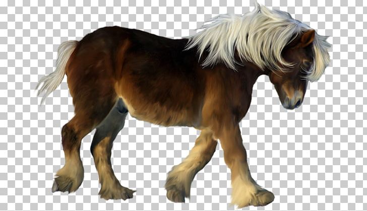 American Miniature Horse Pony Foal PNG, Clipart, Animal, Cartoon, Cuteness, Drawing, Dwarf Free PNG Download