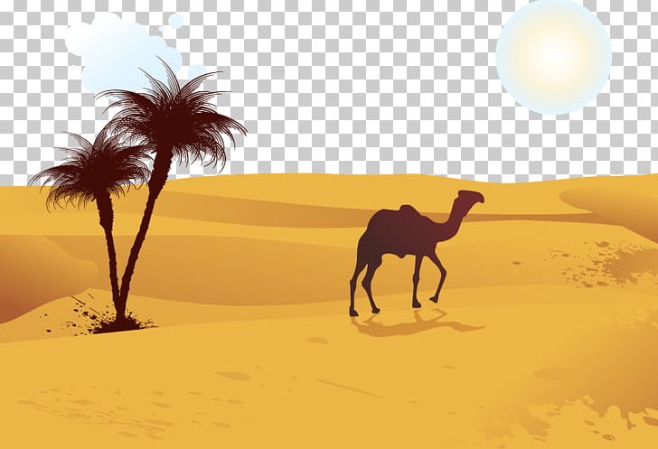 Camel Desert Computer File PNG, Clipart, Aeolian Landform, Animals, Arabian Camel, Badia, Camel Cartoon Free PNG Download