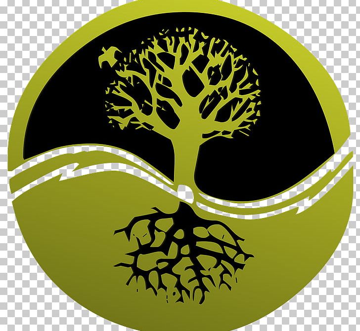 Root Tree PNG, Clipart, Desktop Wallpaper, Download, Flora, Green, Logo Free PNG Download