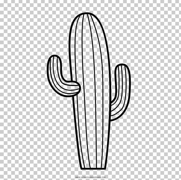 Cactaceae Drawing Line art Coloring book Pinterest, cacto, white, hand,  monochrome png