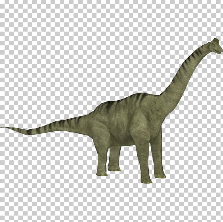 Brachiosaurus Jurassic Park: Operation Genesis Zoo Tycoon 2 Camarasaurus Allosaurus PNG, Clipart, Allosaurus, Animal Figure, Brachiosaurus, Camarasaurus, Category Free PNG Download