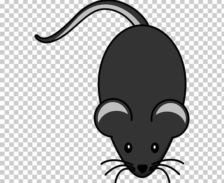 Mouse Rat PNG, Clipart, Animals, Animation, Artwork, Black, Carnivoran Free PNG Download