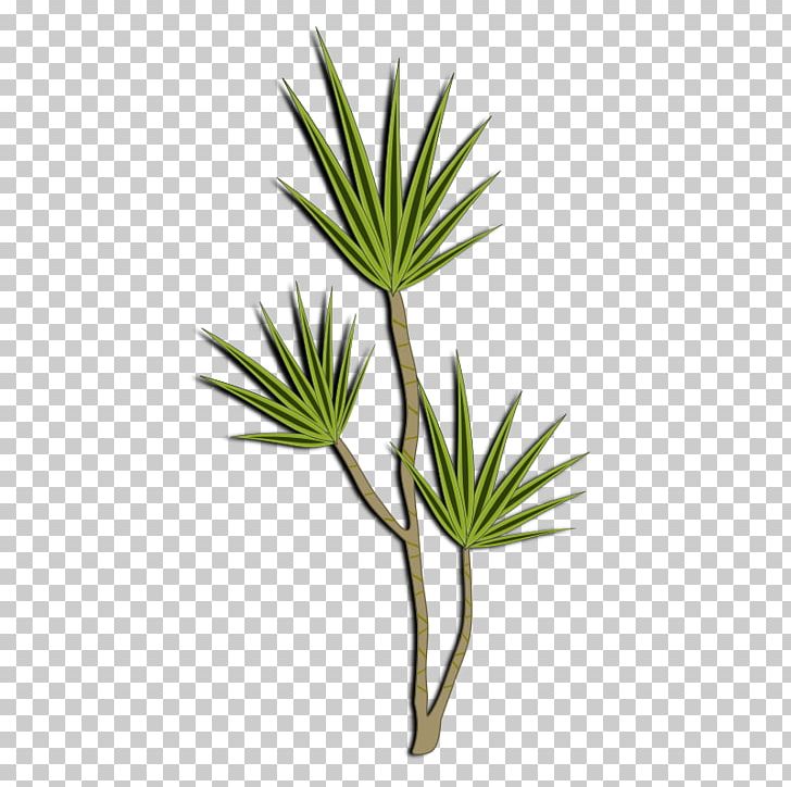 Plant Shrub PNG, Clipart, Arecales, Branch, Computer Icons, Desert, Desktop Wallpaper Free PNG Download