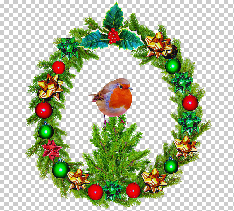 Christmas Decoration PNG, Clipart, Branch, Christmas, Christmas Decoration, Christmas Ornament, Colorado Spruce Free PNG Download