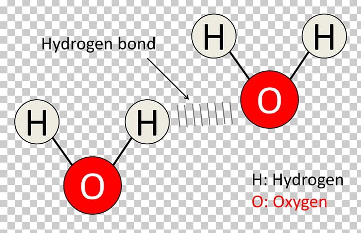 Diagram Hydrogen Bond Molecule Water Chemical Bond PNG, Clipart, Angle, Area, Brand, Chemical Bond, Circle Free PNG Download