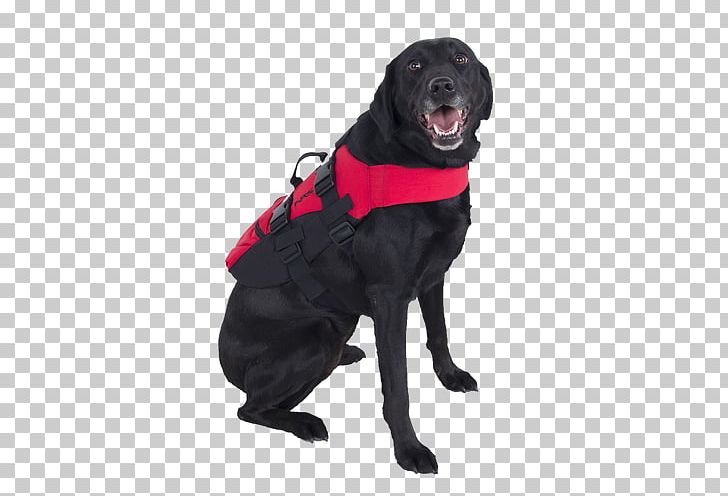 NRS CFD Dog Life Jacket Life Jackets NRS Zephyr Inflatable PFD NRS Chinook Fishing PFD PNG, Clipart, Black, Canoe, Companion Dog, Dog, Dog Breed Free PNG Download