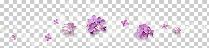 Purple Flower Violet PNG, Clipart, Body Jewelry, Drawing, Flower, Gratis, Lavender Free PNG Download