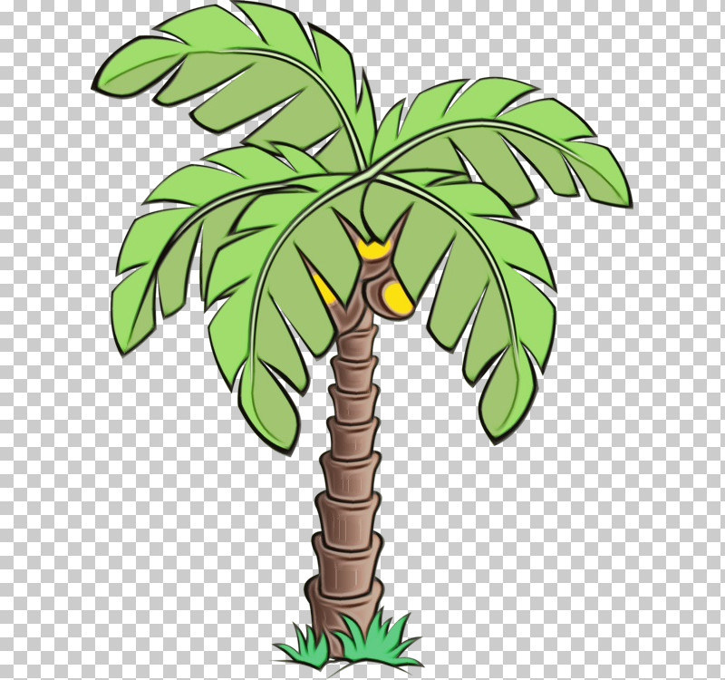 Palm Tree PNG, Clipart, Green, Houseplant, Leaf, Paint, Palm Tree Free PNG Download