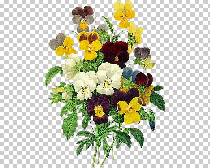 Redoute Flowers Coloring Book Les Liliacxe9es Pansy Printmaking Watercolor Painting PNG, Clipart, Accessories, Annual Plant, Antiquity, Botany, Christmas Decoration Free PNG Download