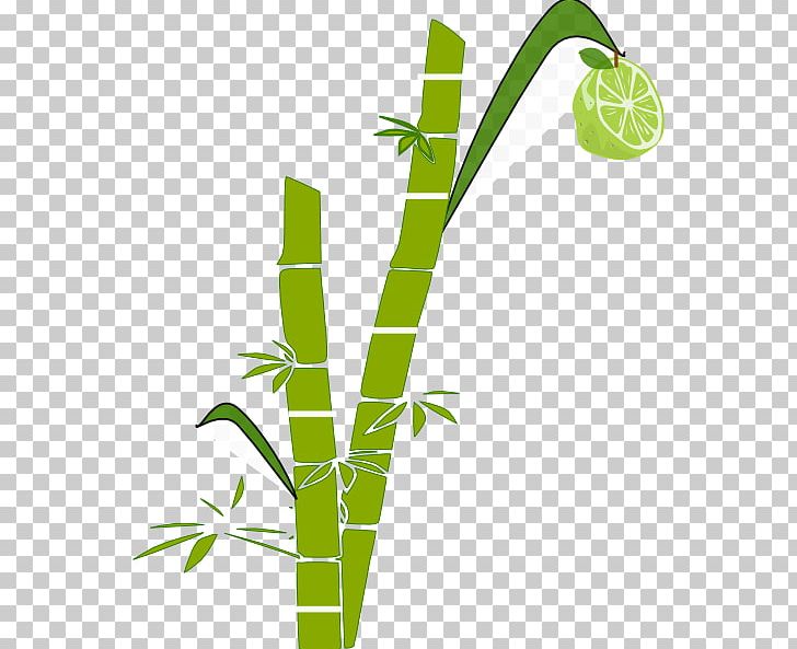 Sugarcane PNG, Clipart, Angle, Art, Clip, Desktop Wallpaper, Download Free PNG Download