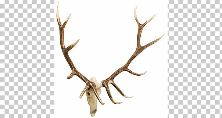 White-tailed Deer Moose Antler Elk PNG, Clipart, Animals, Antler, Branch, Cast Horn Designs, Chandelier Free PNG Download