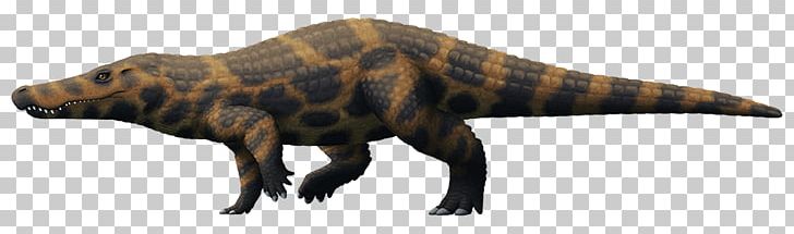 Eocene Boverisuchus Tyrannosaurus Planocraniidae Crocodiles PNG, Clipart, 3 M, Animal, Animal Figure, Armor, Cousin Free PNG Download
