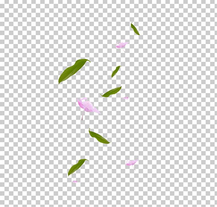 Maple Leaf Petal Green PNG, Clipart, Angle, Blade, Circle, Designer, Fall Free PNG Download