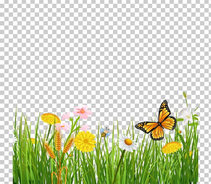 Monarch Butterfly Desktop PNG, Clipart, Beautiful Background, Brush Footed Butterfly, Computer Wallpaper, Desktop Wallpaper, Flower Free PNG Download