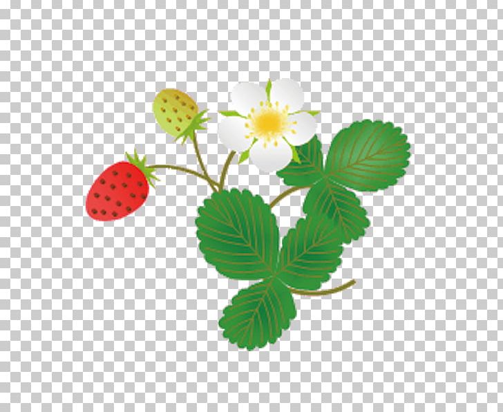 Portable Network Graphics Blog Computer File PNG, Clipart, Blog, Drawing, Editing, Flower, Flowering Plant Free PNG Download