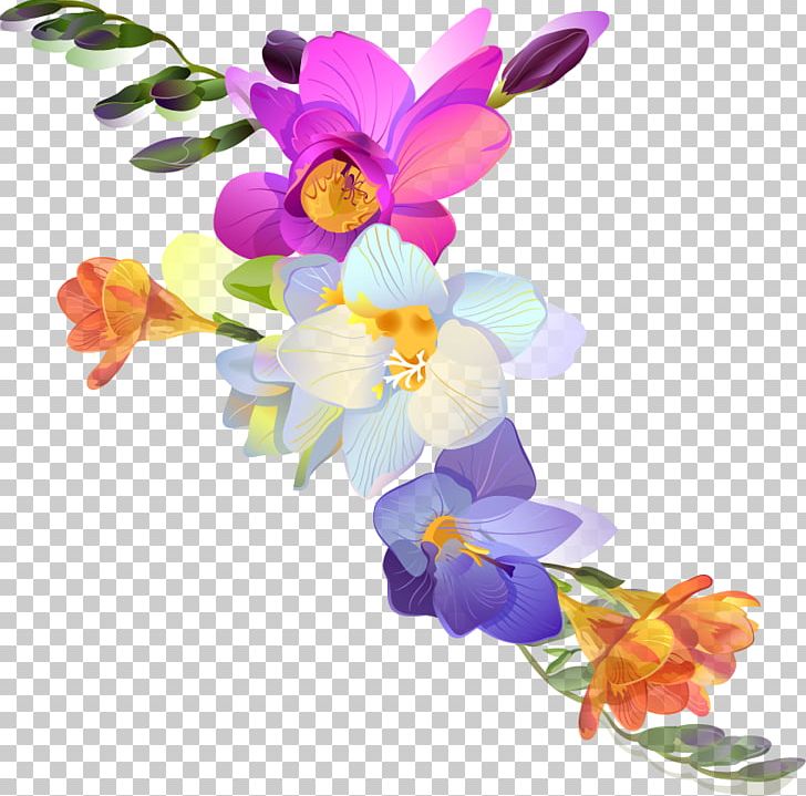 Freesia Flower Photography PNG, Clipart, Balcony, Balcony Plants Decoration 18 0 1, Cattleya, Cut Flowers, Dendrobium Free PNG Download