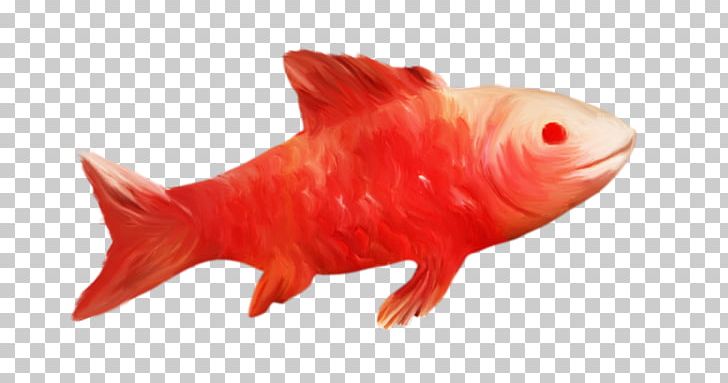 Goldfish Fauna PNG, Clipart, Animals, Fauna, Fish, Goldfish, Orange Free PNG Download