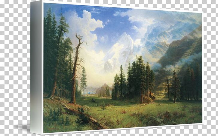 Landscape Painting Nature Oil Painting PNG, Clipart, Albert Bierstadt, Art, Artist, Biome, Canvas Print Free PNG Download