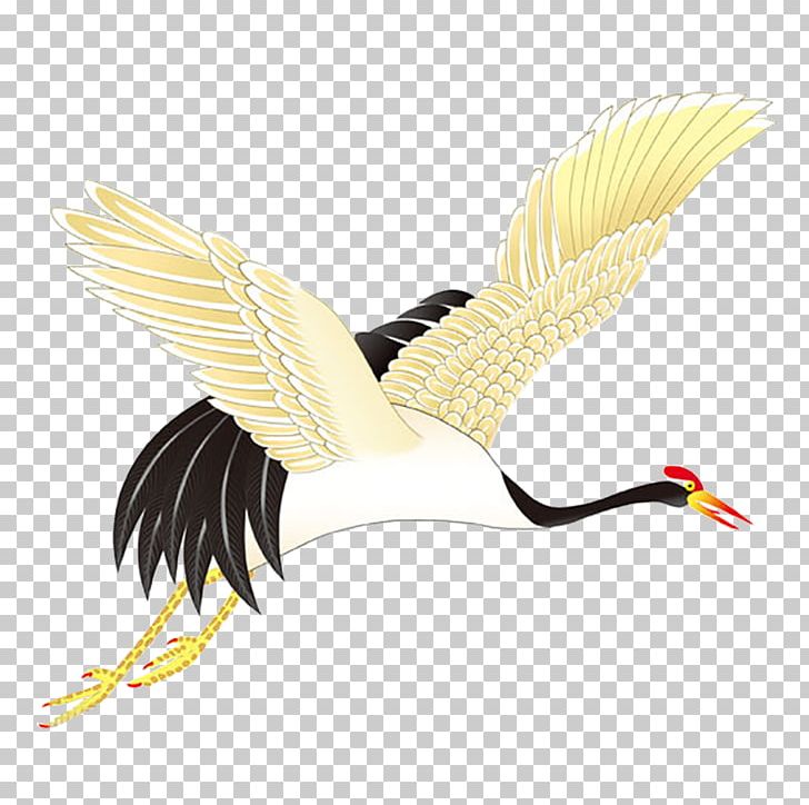 Red-crowned Crane Bird Grey Crowned Crane Siberian Crane PNG, Clipart, Animal, Beak, Bird, Crane, Crane Like Bird Free PNG Download