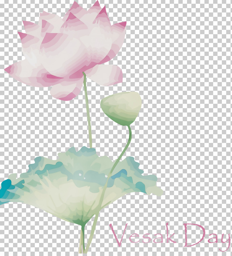 Lotus PNG, Clipart,  Free PNG Download