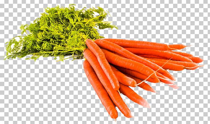 Baby Carrot Common Beet Plants Vegetable PNG, Clipart, Baby Carrot, Beta, Carrot, Common Beet, Food Free PNG Download