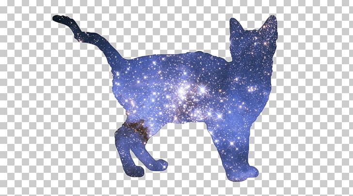 Cat Dog Cobalt Blue Mammal Canidae PNG, Clipart, Animal, Animal Figure, Animals, Blue, Canidae Free PNG Download