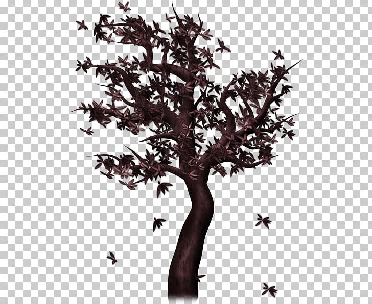 Centerblog Portable Network Graphics Plant Stem PNG, Clipart, Black And White, Blog, Branch, Centerblog, Flower Free PNG Download