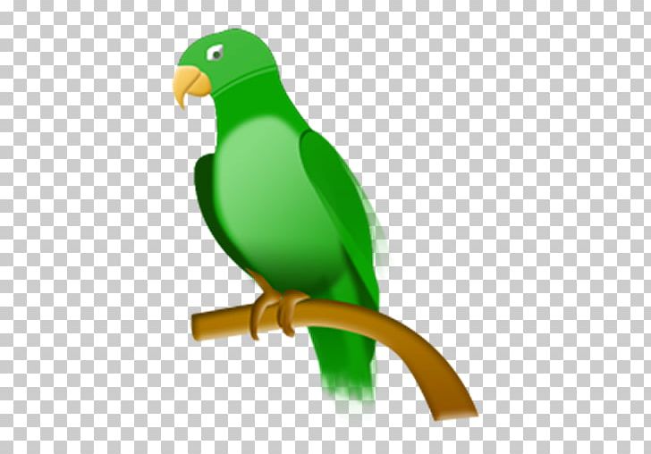 Parrot Computer Icons PNG, Clipart, Animal, Animal Kingdom, Animals, Beak, Biome Free PNG Download