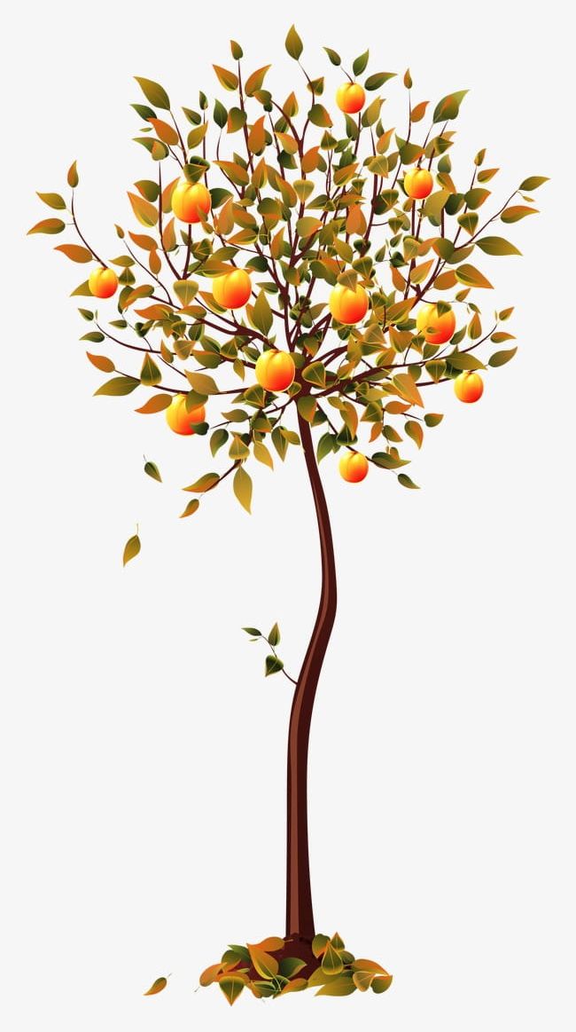 Fruit Tree PNG, Clipart, Autumn, Fruit, Fruit Clipart, Fruit Clipart, Fruit Tree Free PNG Download