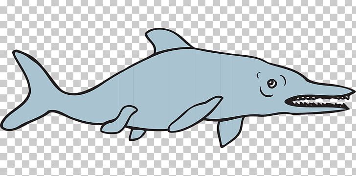 Common Bottlenose Dolphin Tucuxi Rough-toothed Dolphin Shark Fish PNG, Clipart, Animals, Aquatic Animal, Carp, Cartilaginous Fish, Cartoon Free PNG Download