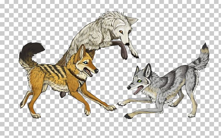 Coyote Wolfdog Gray Wolf Canidae PNG, Clipart, Animal, Animal Figure, Animals, Canidae, Carnivoran Free PNG Download