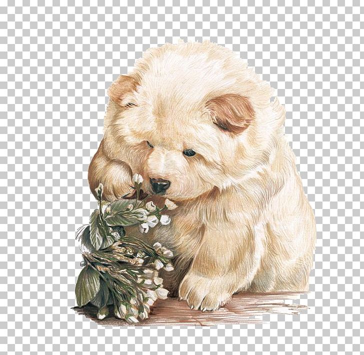 Hand Painted Pet Dog PNG, Clipart, Animal, Animals, Canidae, Carnivoran, Chihuahua Free PNG Download