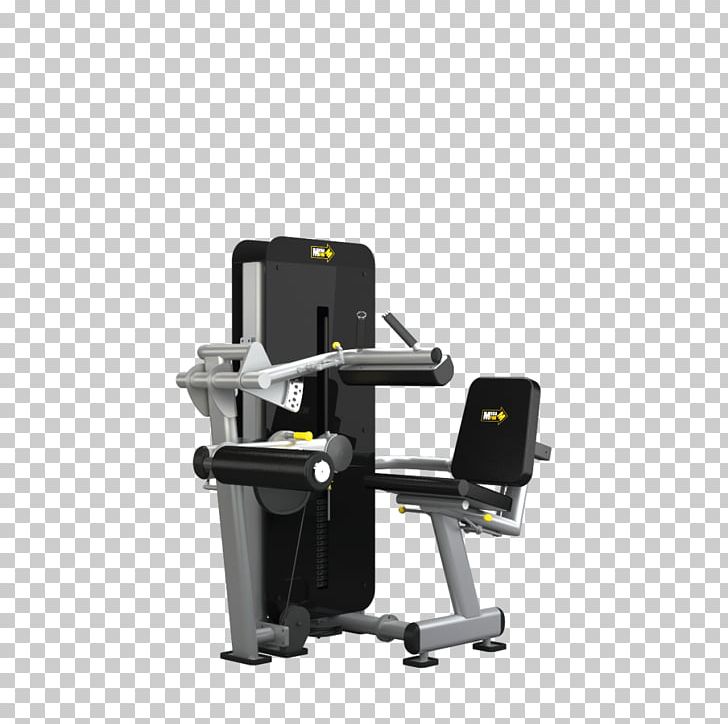 Squat Exercise Bodybuilding Bench Press Fitness Centre PNG, Clipart, Angle, Bench, Bench Press, Bodybuilding, Crossfit Free PNG Download