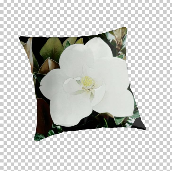 Throw Pillows Cushion Flowering Plant PNG, Clipart, Cushion, Flower, Flowering Plant, Green, Magnolia Grandiflora Free PNG Download